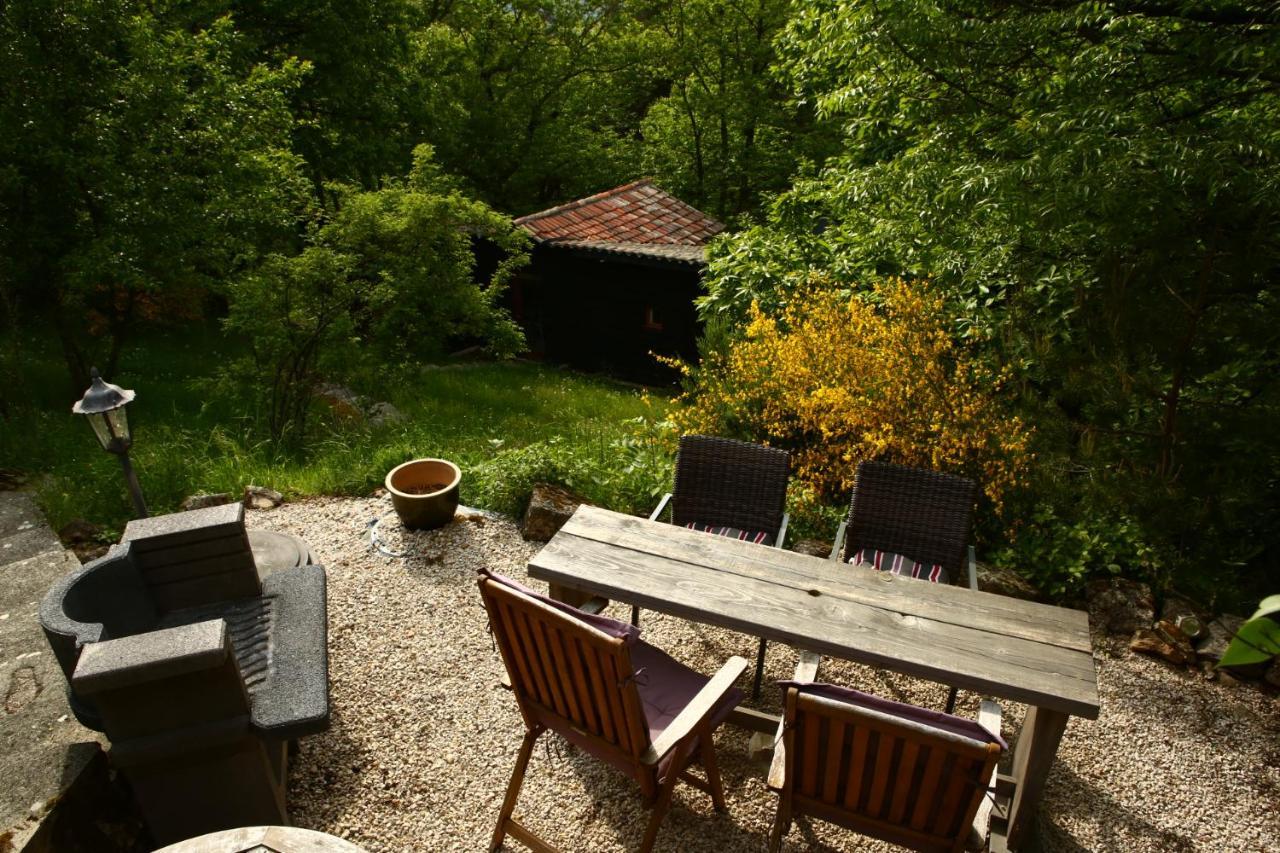 Les Grangeonnes, Gites Nature, Piscine, Bain Nordique, Sauna Pour Accueil Familiale Ou De Groupe Saint-Basile Екстериор снимка
